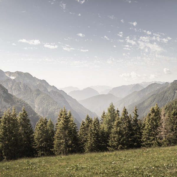 Azienda Agricola Maso Paradiso di Pederzolli Diego | I dintorni